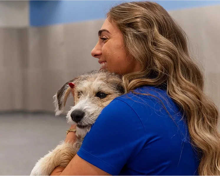 Dog being held by worker